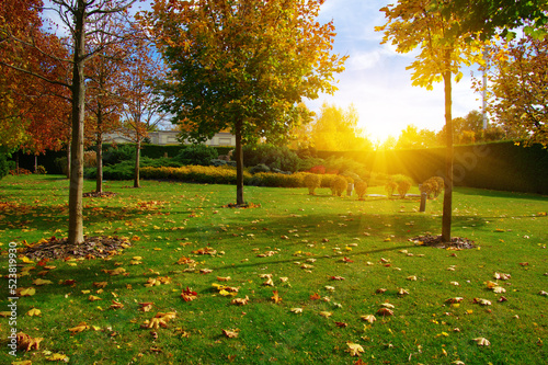 Autumn park with colorful fall foliage