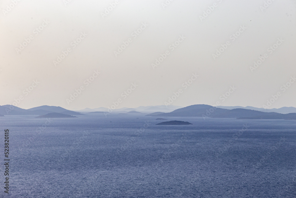 Obraz premium Insem im Wasser