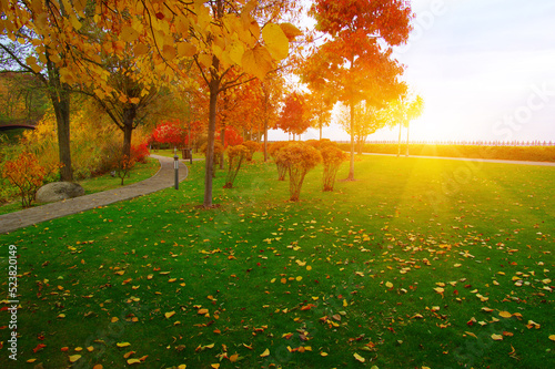 Autumn park with colorful fall foliage