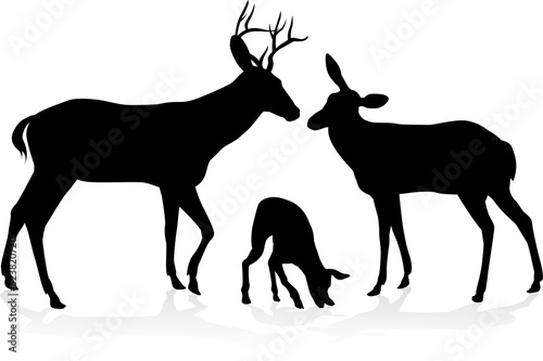 Deer animal family silhouettes fawn  doe and buck stag