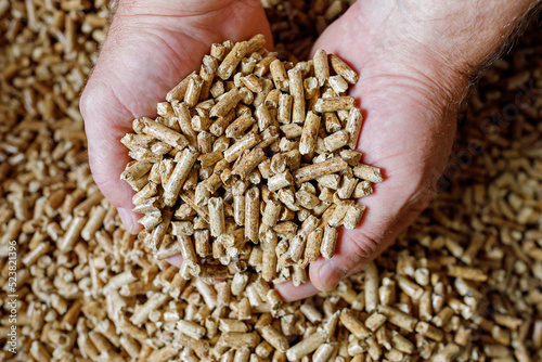 Holzpellets