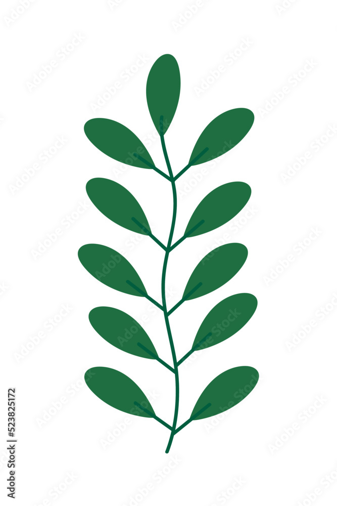 nature leaf icon