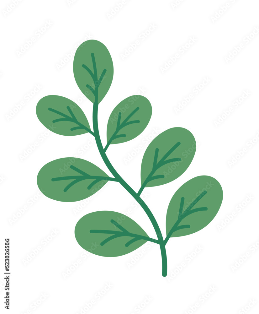 branch leaves cartoon