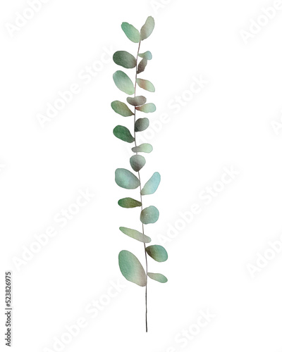 Watercolor green leaves branch decoration item
