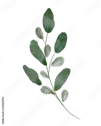 Watercolor green leaves branch decoration item