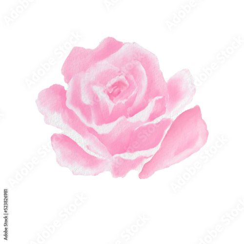 Watercolor pink roses artwork