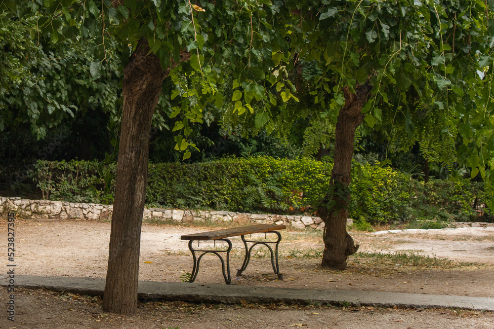 Lone bench surrounded by trees, in the National Garden of Athens, Greece. 