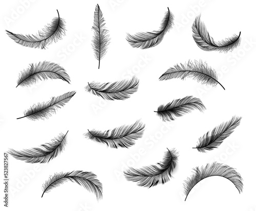 Big Set of Black Realistic Different Fluffy Twirled Falling Feathers Isolated on White Background. Design Template. Vector illustrtion