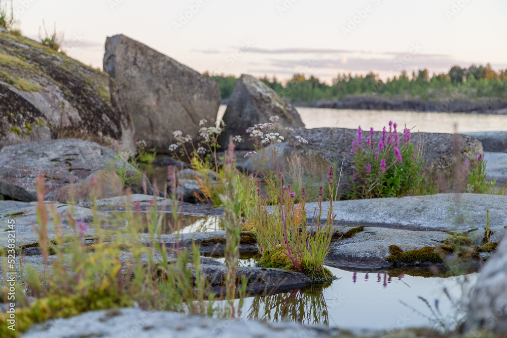 view of Ladoga skerries at sunset in the republic of karelia. High quality photo view of Ladoga skerries at sunset in the republic of karelia. High quality photo