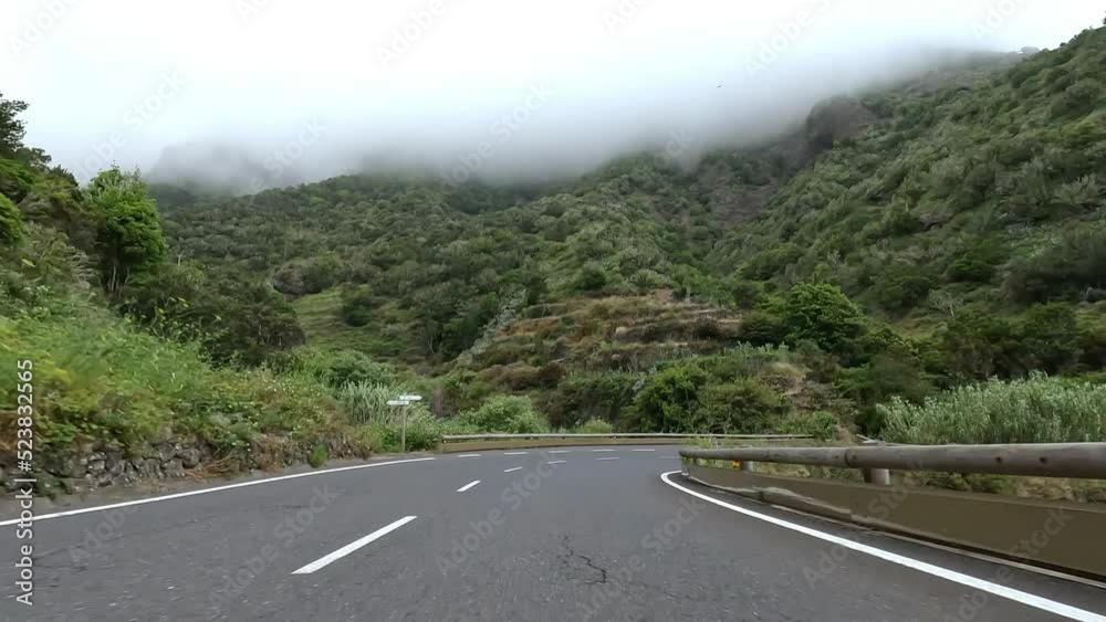 Close up and car view of street driving with amazing beautiful landscape with trees and green nature. Road of forest discovering new places outdoors having fun and traveling Close up and car view of street driving with amazing beautiful landscape with trees and green nature. Road of forest discovering new places outdoors having fun and traveling