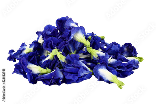 Close up of Fresh purple Butterfly pea flower or Anchan flower (Clitoria ternatea) isolated on white background. concept Healthy herbal beverage or Food nature photo