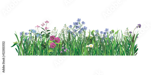 grass and flowers