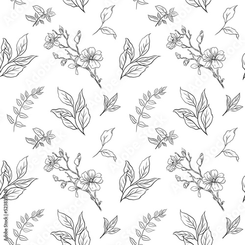 Seamless pattern forest plants. Hand drawn simple flowers. Foliage and wood ferns. Decorative floral sketch. Engraving stems with leaves and blooms.