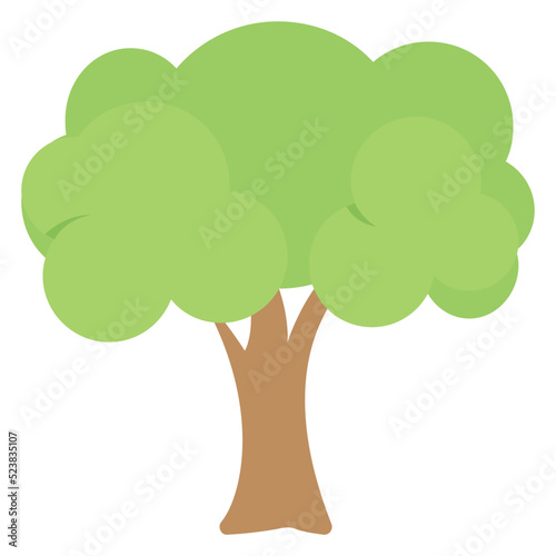 Sycamore Tree