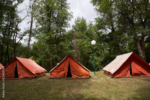 Front view of three orange camping tents standing in front of the forest, summer camp.