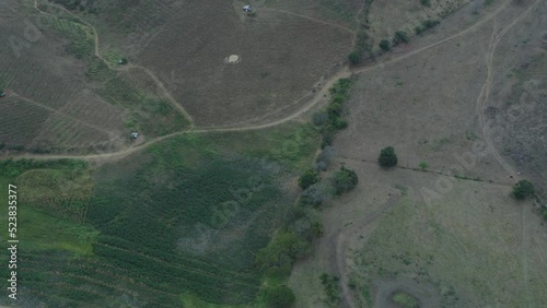 drone shot zenital plantation fields photo
