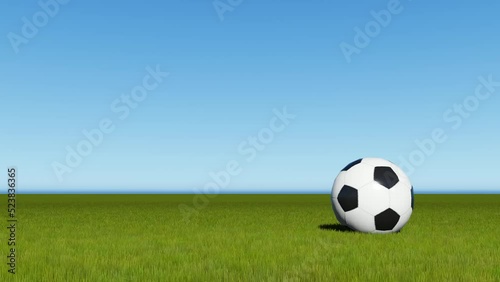 Timelapse view of soccer ball on green grass