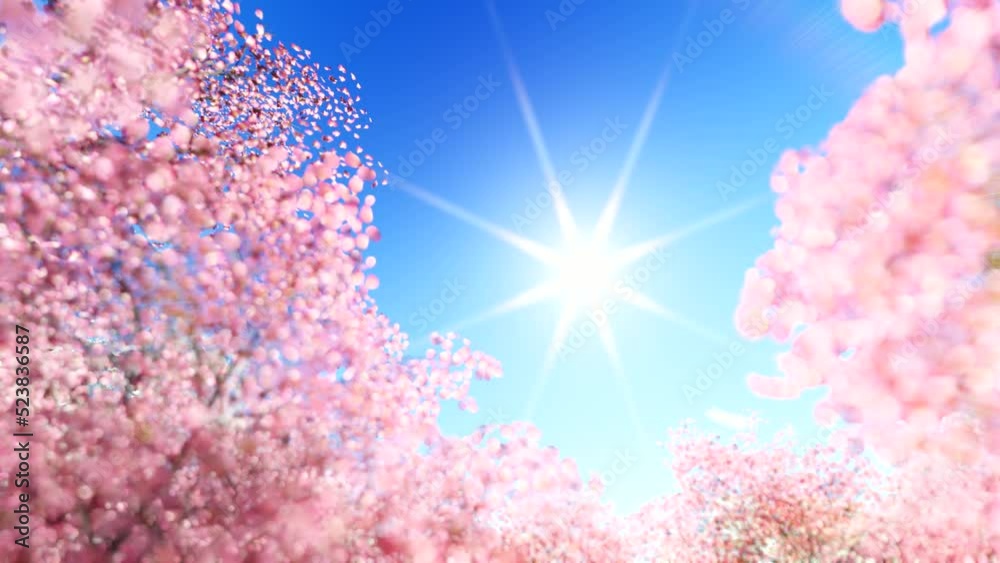 Animation of sakura with flowers sakura waving on wind Animation of sakura with flowers sakura waving on wind