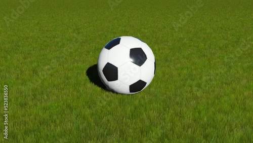 Timelapse view of soccer ball on green grass