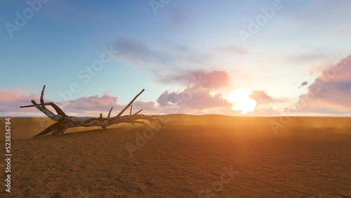 sunset in desert with light wind

