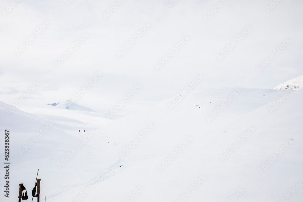 Winter landscape in Dovrefjell National Park, Norway