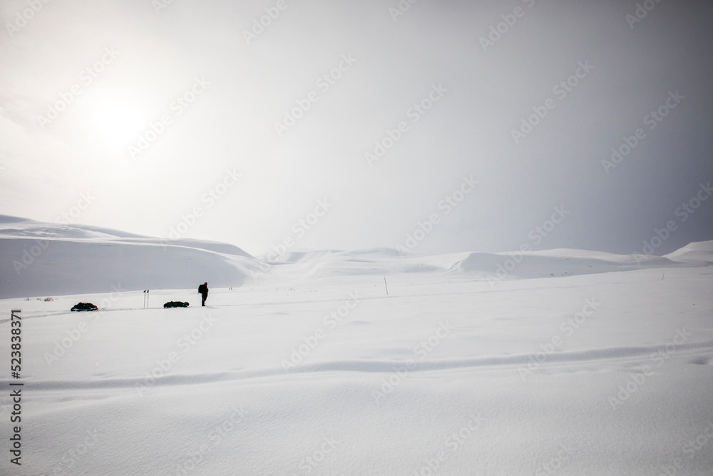 Ski expedition in Dovrefjell National Park, Norway