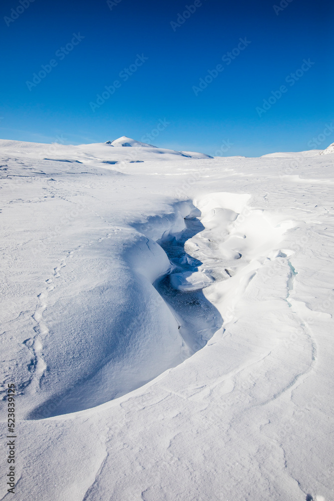 Winter landscape in Dovrefjell National Park, Norway