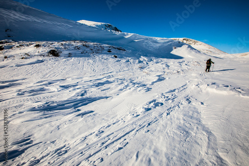 Ski expedition in Dovrefjell National Park, Norway