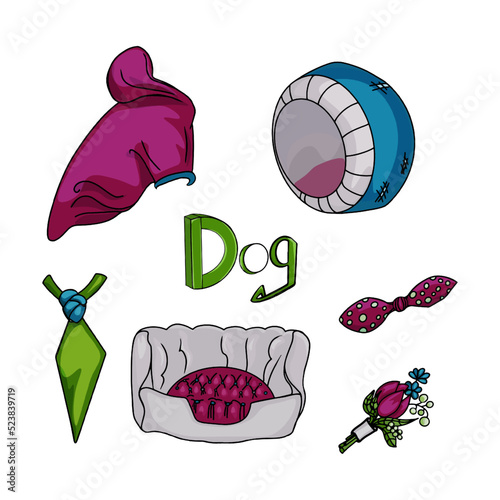 Large set of accessories for pets. Illustration of clothes, houses, fashion accessories for pets as a blank for a designer, logo, icon, print