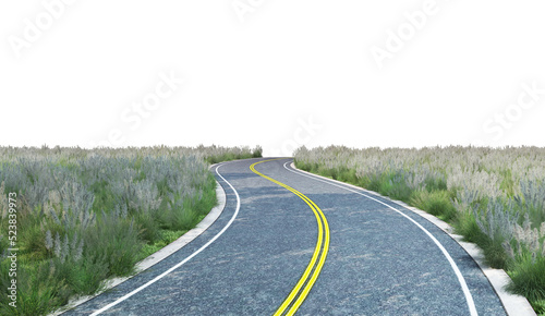 Roads in the meadows on a transparent background
