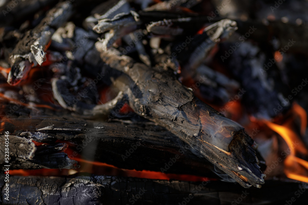 Obraz premium Close up of burning timber bonfire in summer forest..The concept of adventure, travel, tourism, camping, survival and evacuation.