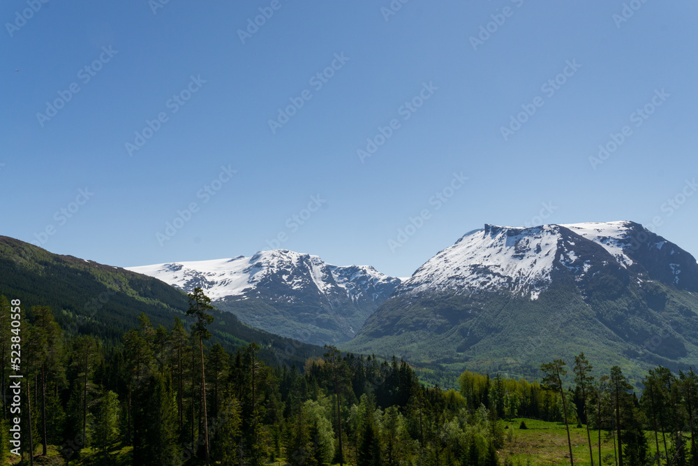Nordic scenery of forests with tall trees and snow-capped mountains