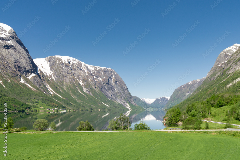 Norwegian fjord surrounded by green nature