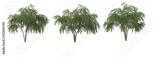 Trees in the desert on a transparent background