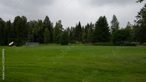 grass and the forest