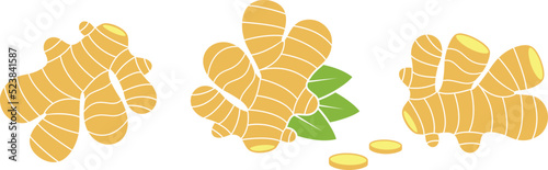 Ginger logo. Isolated ginger on white background