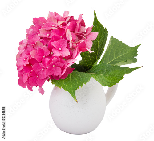 pink hydrangea in a white ceramic vase cut from a white background