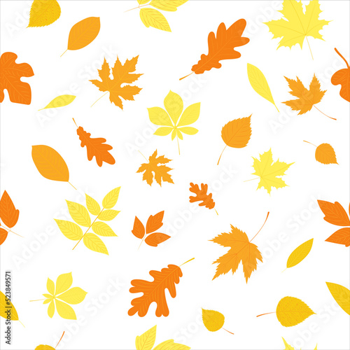 seamless white background with autumn leaves  vector
