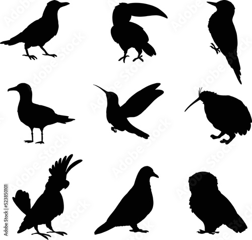 Various type Bird isolated Vector Silhouettes