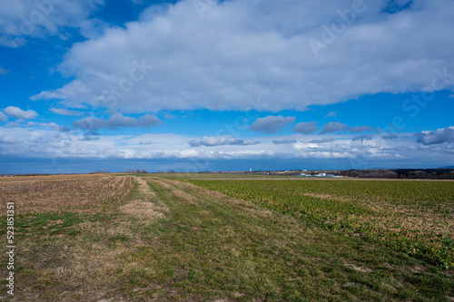 Green field with few buildings in background