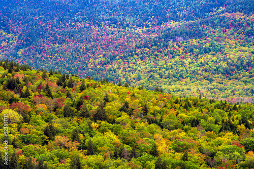 Mountain Valley Forest With Colorful Autumn Foliage