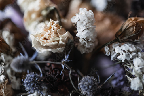 Suszone kwiaty w wazonie © Mateusz