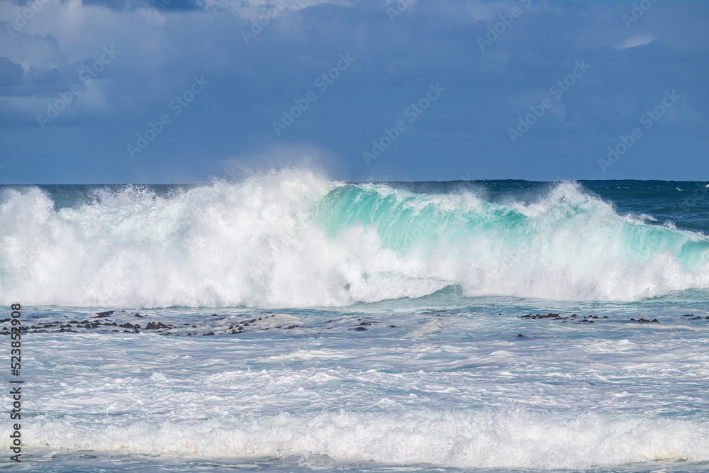 Fototapeta premium creative