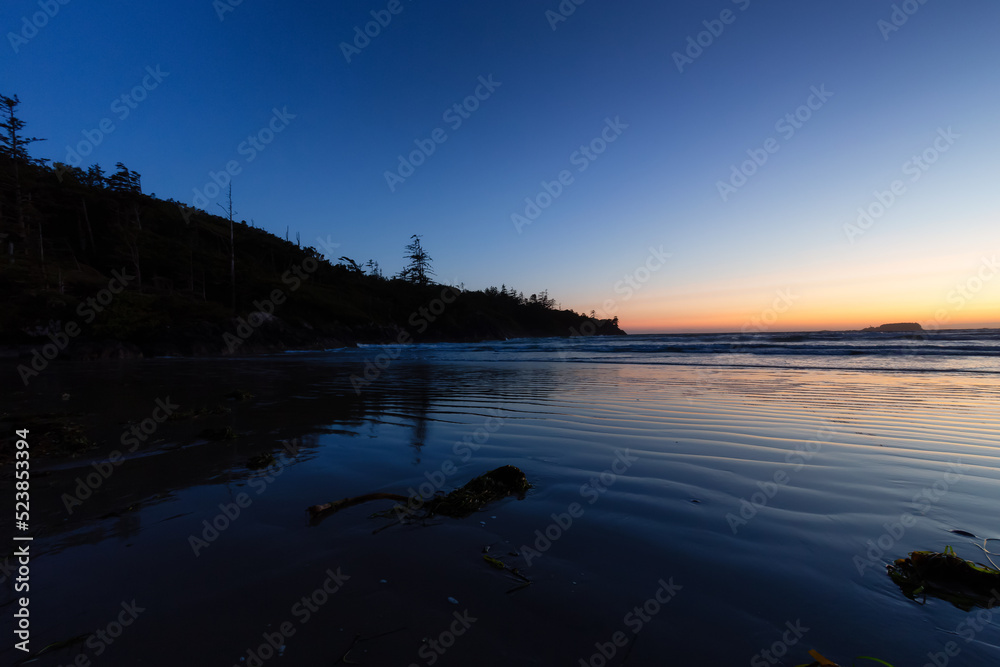 Fototapeta premium Sandy Beach on the West Coast of Pacific Ocean. Canadian Nature Landscape Background. Sunny Sunset Twilight. Cox Bay, Tofino, Vancouver Island, BC, Canada.