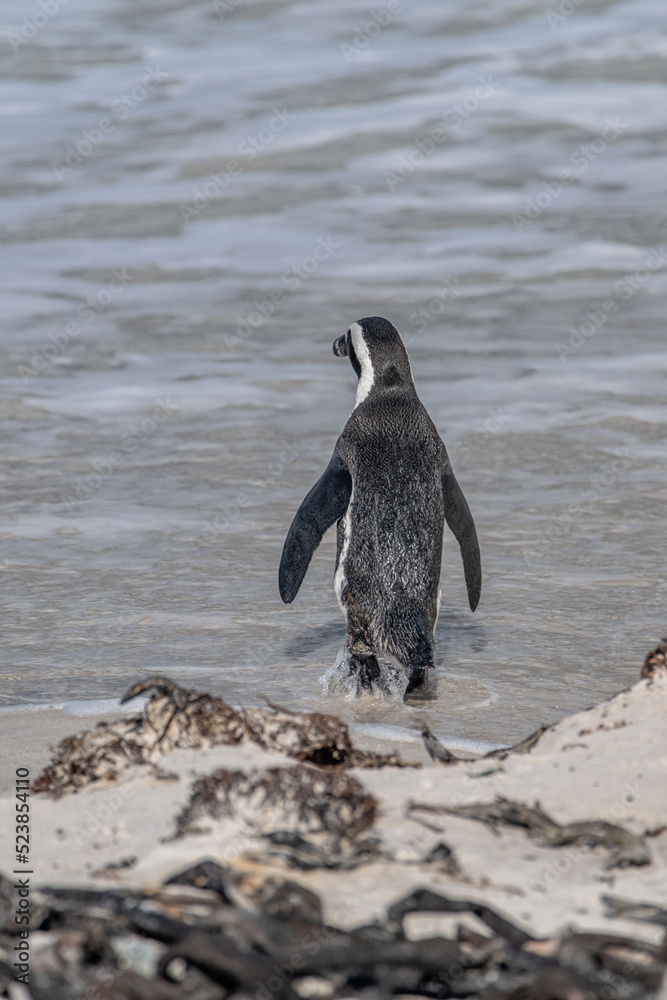 Fototapeta premium creative