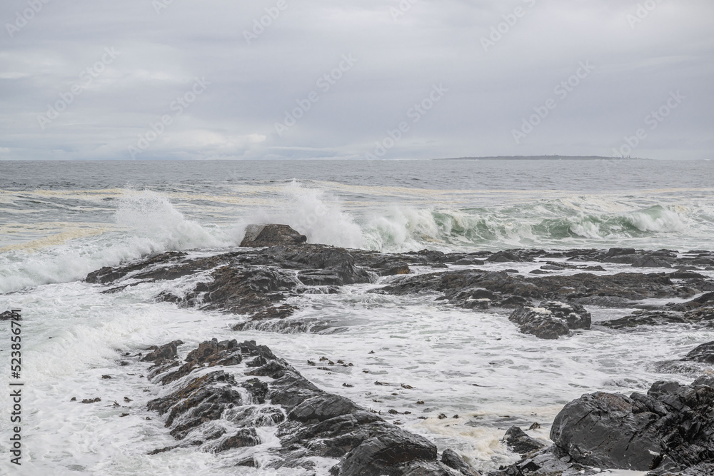 Fototapeta premium creative