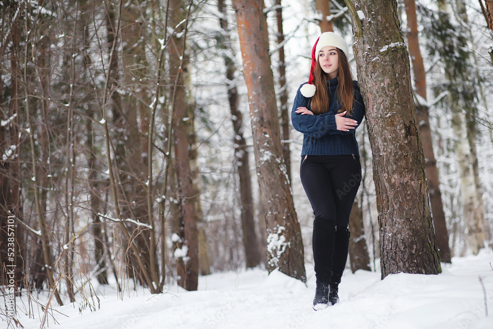 A young girl in a winter park on a walk. Christmas holidays in the winter forest. The girl enjoys winter in the park. A young girl in a winter park on a walk. Christmas holidays in the winter forest. The girl enjoys winter in the park.