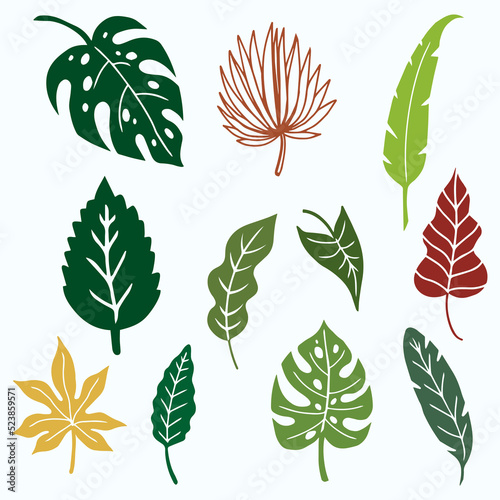 Tropical Leaves Collection, Jungle Leaves, Botanical Element vector illustration