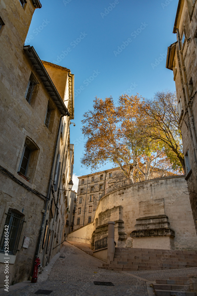 old street in montpelier french city in autum with tree