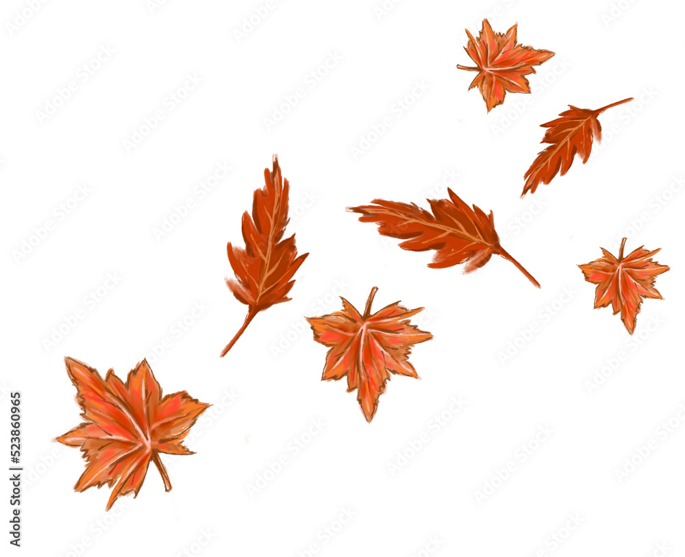 Fototapeta premium Autumn and Fall Leaf